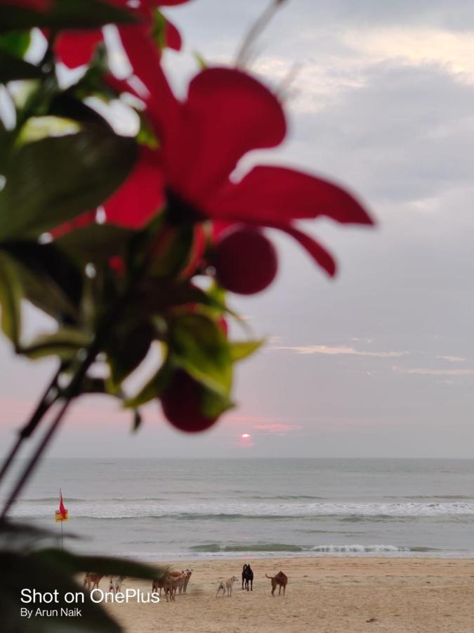 Happy Shack Beach And Wooden Huts Colva Exteriér fotografie